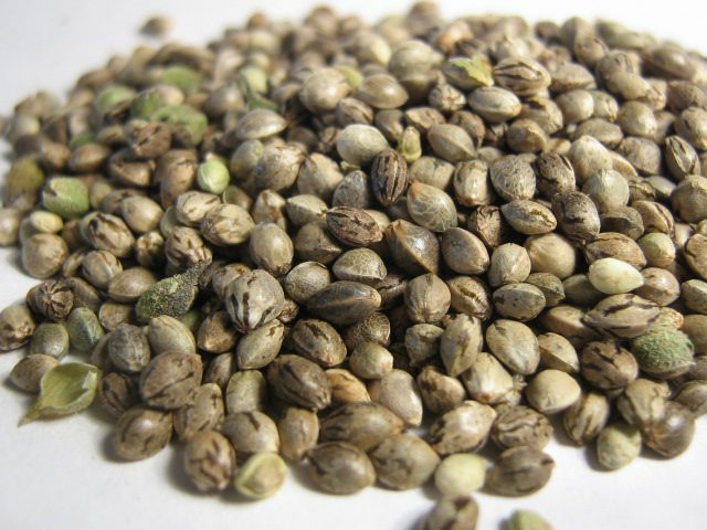 marijuana Seeds Mix Feminized